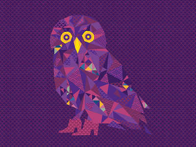 Arillo Owl