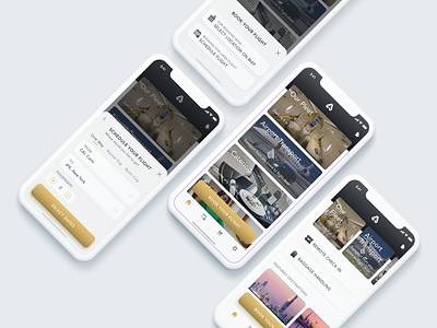 Luxurious Airlines App