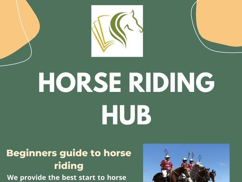 Benefits of horseback riding by Horse Riding Hub on Dribbble