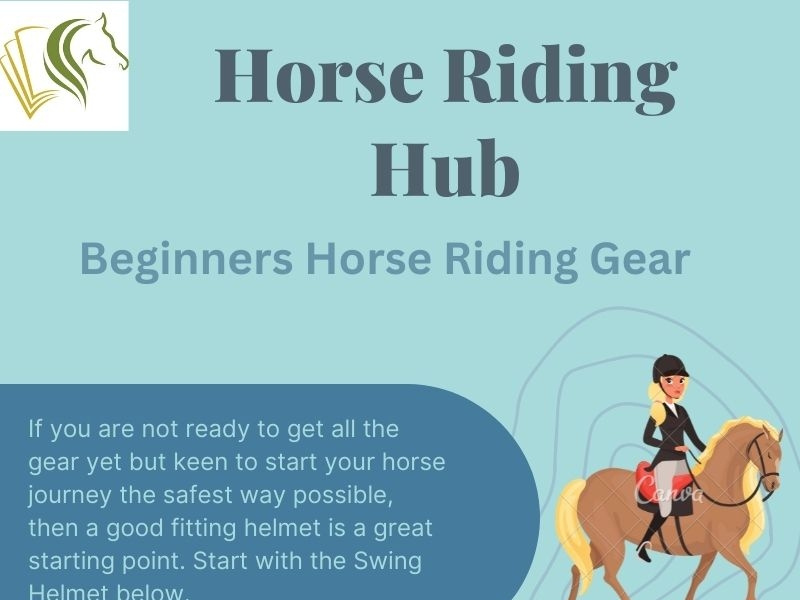 Best Horse Riding Gear For Beginners by Horse Riding Hub on Dribbble