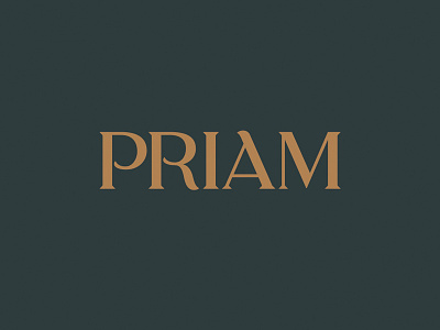 Priam Lettering branding buffalo hand lettering lettering logo type typography wordmark