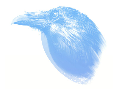 Raven bird blue digital painting light raven study