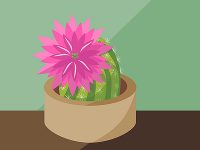 Flowering cactus graphic design illustration вектор кактус цветы