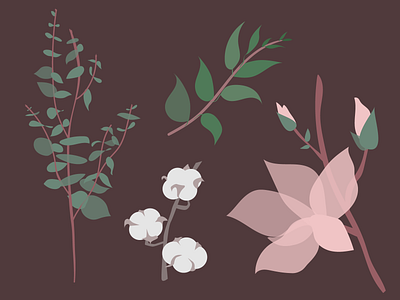 Plants & Flowers app branding design graphic design illustration logo typography vector растения флора цветы
