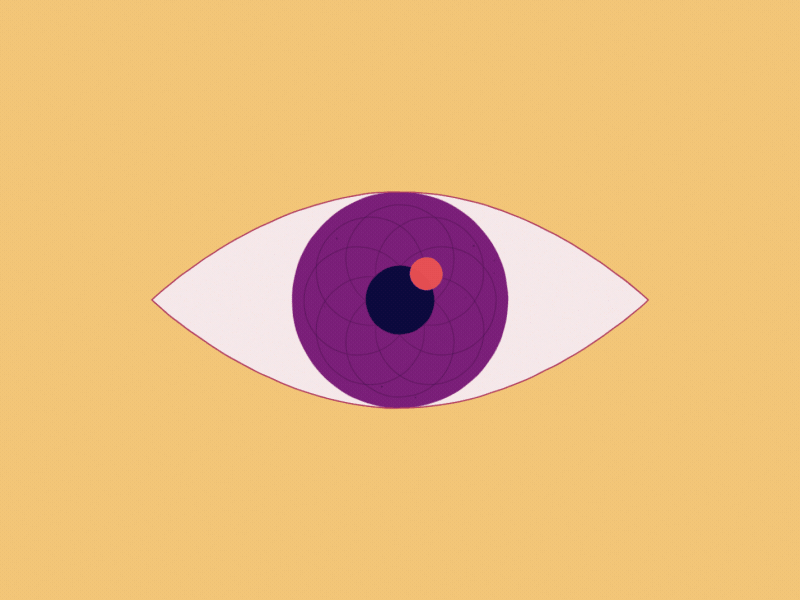 Eye ft. Annoying Fly aftereffects animation design flat illustration mograph motion design motion graphics motiondesign motiongraphics vector