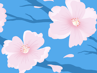 Sakura pattern cherry blossoms florals flowers illustration pattern pink repeat pattern sakura spring