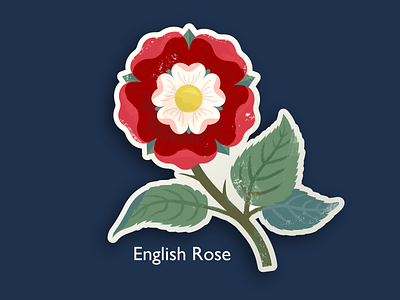 English Rose british english floral flower gill sans illustration plants rose tudor rose