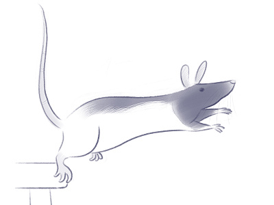 JUMP! drawing illustration rat rodent sketch