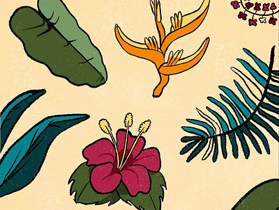 Jungle Doodles doodle flowers leaves nature procreate procreateapp truegrittexturesupply