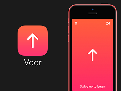 Veer - The Ultimate Gesture Challenge