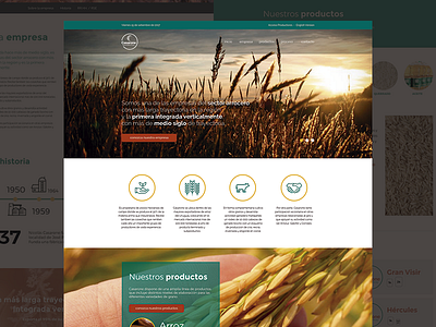 Casarone homepage design draft website