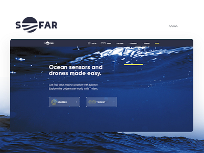 Sofar Ocean Web Branding branding design website website design