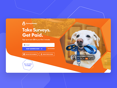 SurveyHoney web design and development branding design logo website website design website development