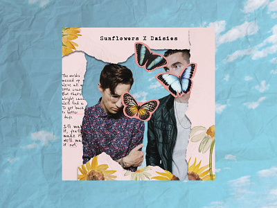 Sunflowers & Daisies Album Cover