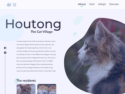 Cat Village - web