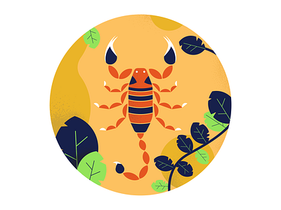 Scorpio astrology illustration scorpio scorpion vector