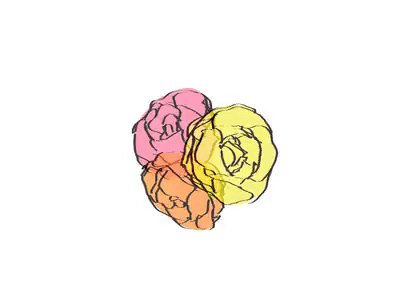 3 Flowers animation