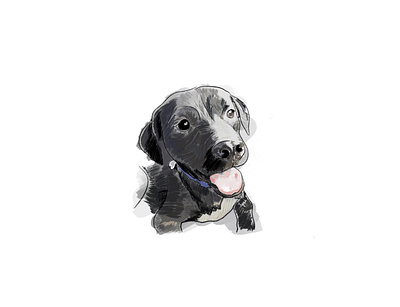 Oscar art dog dog illustration dogs illustration pet pet portrait portrait portrait illustration procreate pup sketch