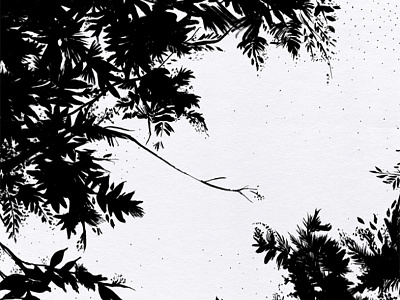 Night's Sky ferns forrest illustration ink leaves nature night painting sky stars trees tropical