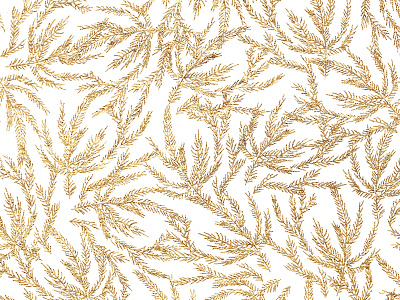 Gold Coral Ferns coral gold illustration leaves ornate overlay pattern pine sea summer winter
