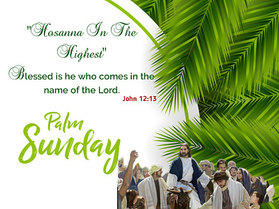 Palm sunday vector