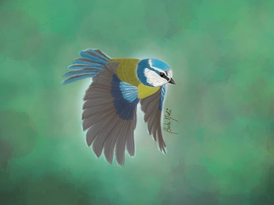 Free bird art bird book commission cover design digitalart free green illustration portrait poster