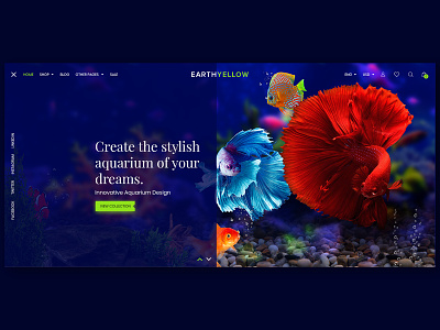 Fish Products E-Commenrce creative design creative website ecommence themeforest