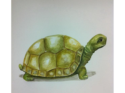 Watercolor Tortoise