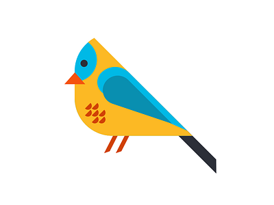 Bird illustration