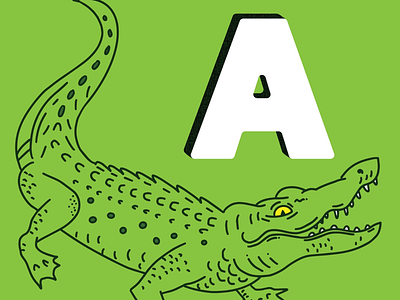 Alligator A a alligator alphabet animal illustration drawing gator illustration illustrator procreate type