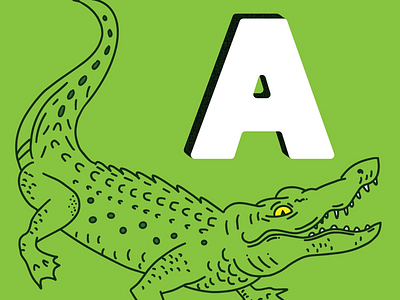 Alligator A