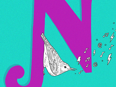 Nuthatch Noise 36 days of type alphabet bird dropcap lettering nuthatch