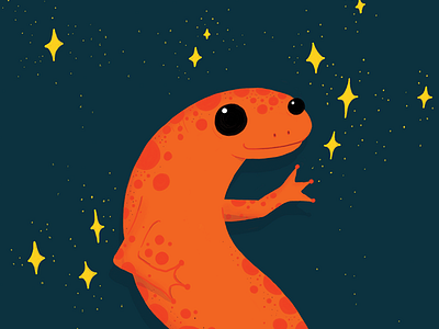 Salamander Sparkles, S