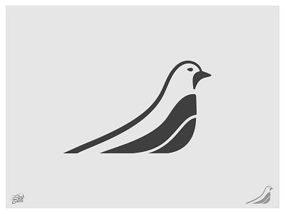 Dove bird design dove identity illustration logo mark symbol
