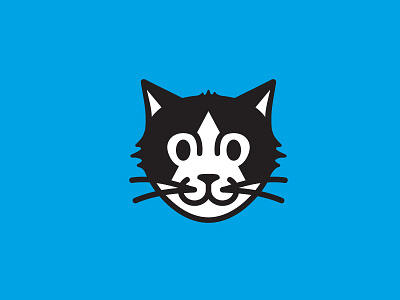 Acer the Cat blue cat flat illustration illustrator logo vector