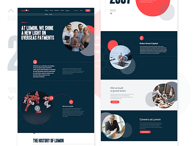 Lumon Pay- Website branding design graphic design ui ux web