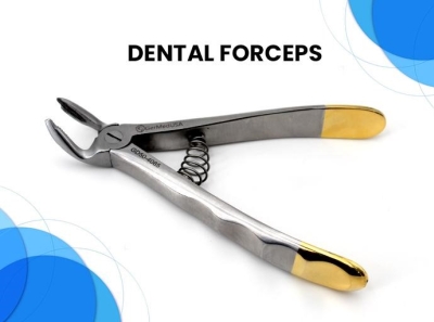 Comprehensive Overview Of Veterinary Dental Forceps by VetandTech on ...