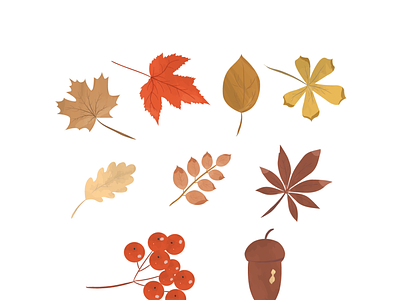 autumn set design graphic design illustration vector