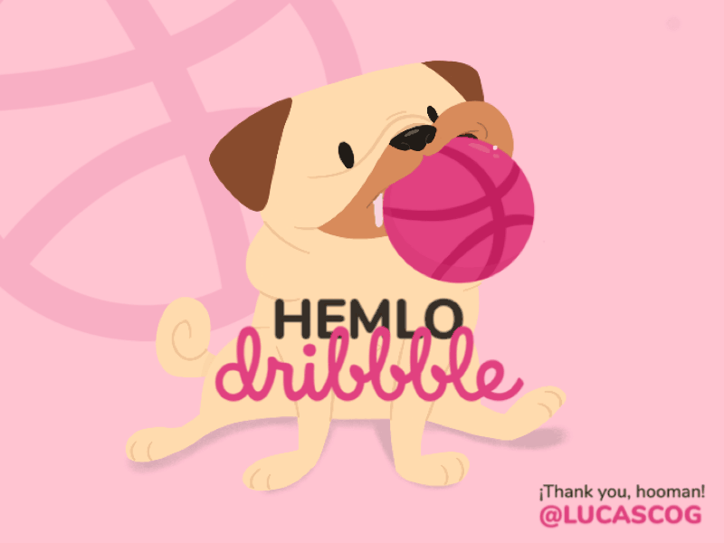 Hemlo dribbble! animation cute art dog dribbble drooling first shot hello dribble illustration paraguay pets pug thank you
