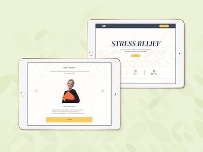 Landing Page for Stress Relief Course Selling