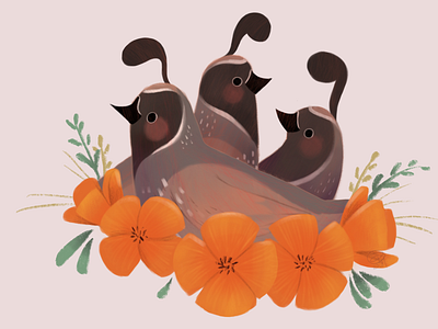 State Postcards - California Quail and Poppies design illustration