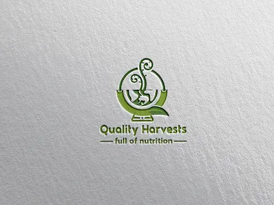 Quality Harvests abstract logo branding design graphic design illustration logo logo design vector