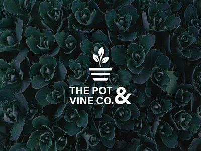 The Pot & Vine Co branding design illustration logo logo design vector