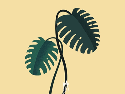 Monstera Motion 🍀 anim animate animation art design flat gif illustration invisionapp invisionstudio leaf monstera motion plant tree user interaction