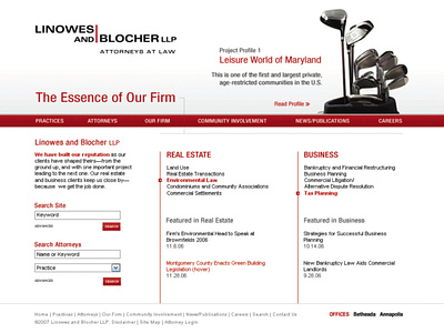 Linowes and Blocher Website Design graphic design web website