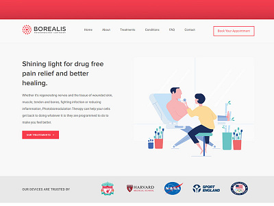 Borealis Landing page clean header home page illustration landing page minimal modern layout neat web page what a story