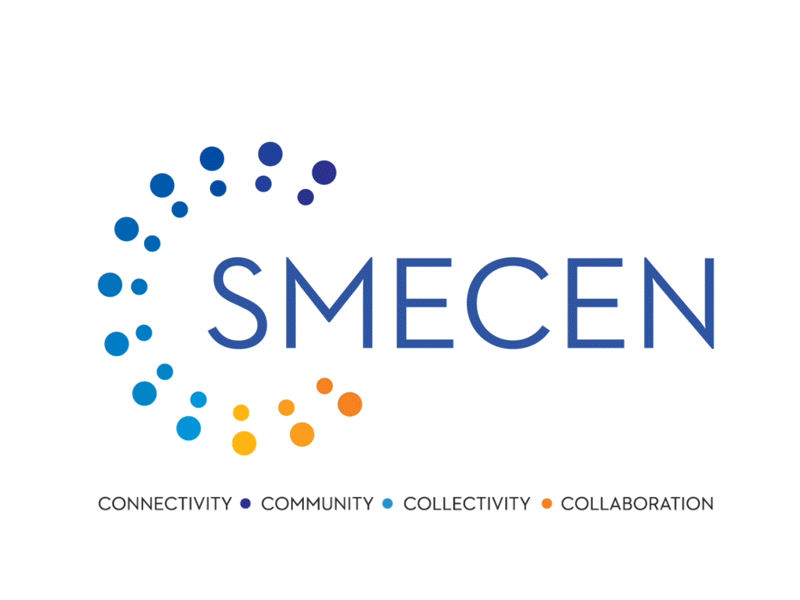 SMECEN logo animation character clean custom logo animation gif intro logo animation minimal motion graphics professional reveal simple smecen what a story