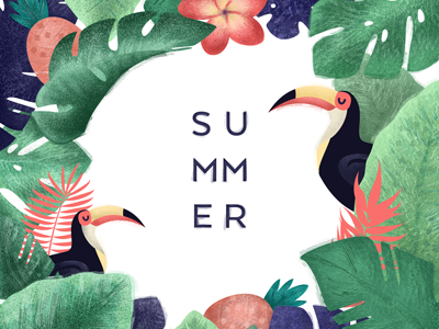 Summer illustration