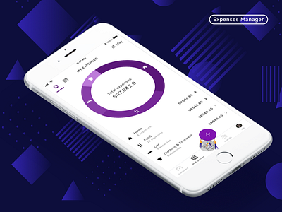 Expenses Manager iOS App app bank calculate chart expenses fix interaction ios iphone maintenance money uiux