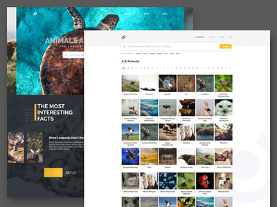 Landing and inner page Shot - Daily UI #003 animals carousel dailyui explore hero homepage interaction landing page search slider ui ux web webdesign